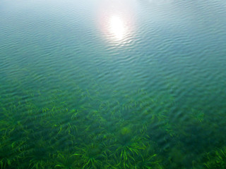 Fototapeta na wymiar Transparent water surface through which is seen a texture of the bottom. Top view of the calm sea, lake, river, pond. Natural blue - green beautiful background image.