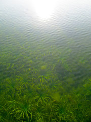 Fototapeta na wymiar Transparent water surface through which is seen a texture of the bottom. Top view of the calm sea, lake, river, pond. Natural blue - green beautiful background image.