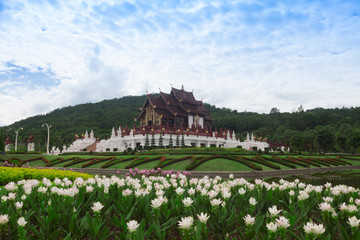 Fototapeta na wymiar Chiang Mai, Thailand at Royal Flora Ratchaphruek Park.