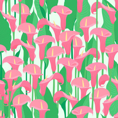 Color graphic seamless pattern of festive, spectacular southern pink calla flowers with large green leaves, for design, texture, textile, wrapping paper. Vector illustration, isolated on background.