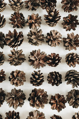 Closeup of pine cones pattern. Flat lay, top view winter composition.