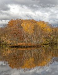 Reflets sur le lac en automne