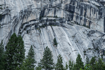 nackte, strukturierte felswand mit wald, Yosemite National Park, Kalifornien, USA