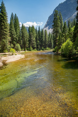malerisch, klarer Flussverlauf mit Wald im Yosemite National Park, Kalifornien,  USA