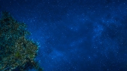 landscape and star  concept from beautiful movement of star and milky way with blue background and tree foreground on autumn season