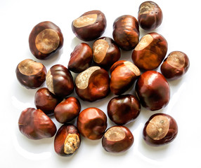 chestnuts isolated on white background