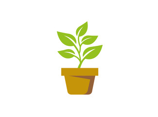 Plant in the Pot with some leaves for logo Vector Design 