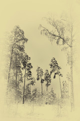 Fototapete bei efototapeten.de bestellen   