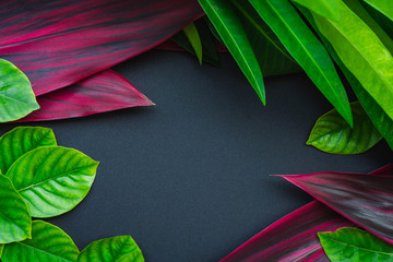 Green and red leaf background with gray space for text