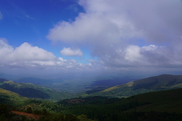 Naklejka premium Nature Photography