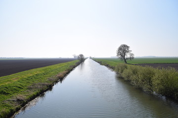 bridge over the river