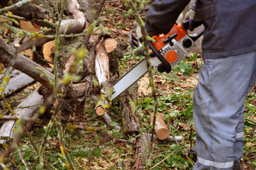  man with a chainsaw pruning tree branches in the autumn garden