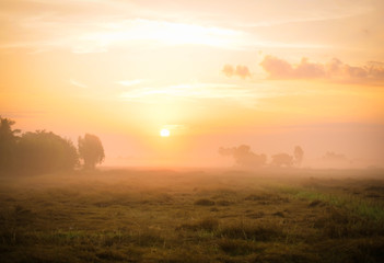 The Fog,Misty West, Misty sunrise over the City of in Ubon Ratchathani , thailan.