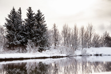 Thingvellir National Park or better known as Iceland pingvellir National Park during winter