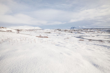 Fototapeta na wymiar Thingvellir National Park or better known as Iceland pingvellir National Park during winter