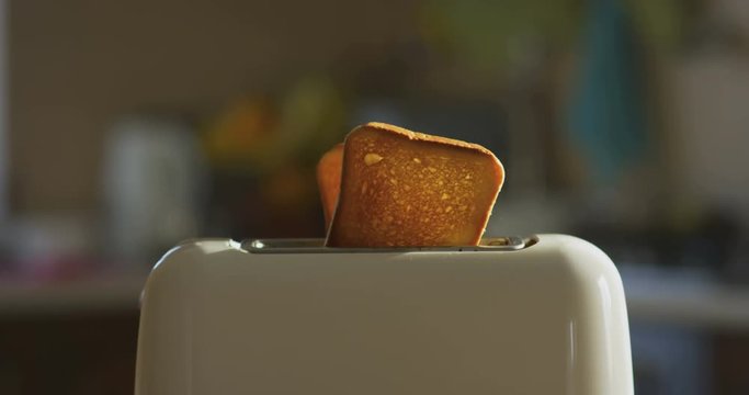 Toaster in the kitchen making toasts