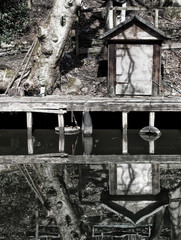 a waterside run down wooden jetty with a small shack and tree reflected in the still water