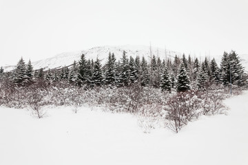 Winter snow view of Golden Circle apartment in Iceland