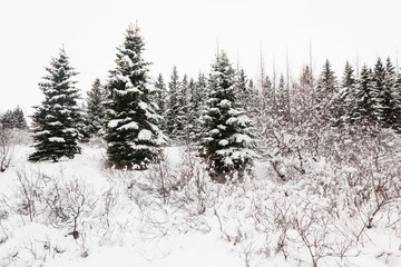 Winter snow view of Golden Circle apartment in Iceland