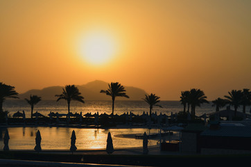 Obraz premium sunset on the beach