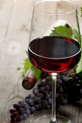 Red wine and fresh grapes