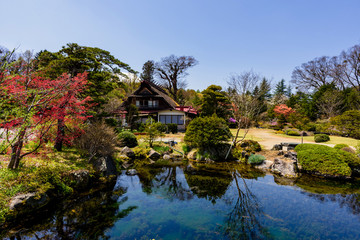 Fototapeta na wymiar Traditional house with beautiful spring garden