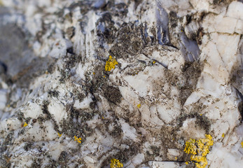 Steinstruktur mit gelben Moos