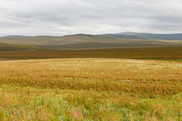 Fototapeta na wymiar Mongolian steppe, beautiful landscape with cloudy sky