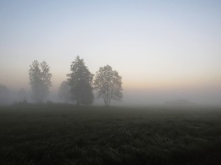 Fototapeta na wymiar Beautiful Nature Wild Landscape During Sunrise with Foggy Mist