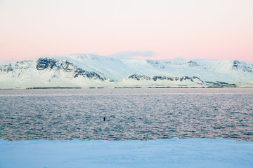 Reykjavik view during sunset on the coast of Iceland which is the country's capital and largest city.