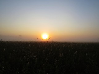 Beautiful Nature Wild Landscape Sunrise with Foggy Mist