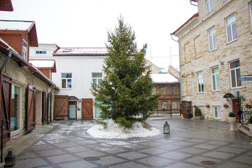 Fototapeta na wymiar Christmas tree in the courtyard of the old town