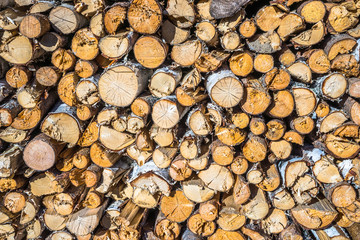 Stacked firewood pile