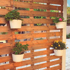 Flowers in pots hanging on a wooden brown fence (toned)