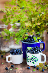 Fresh ripe bluberries (bilberries) in enamel mugs