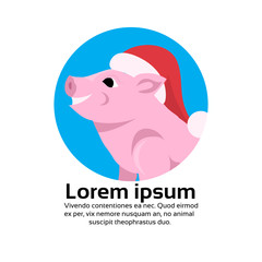 cute pig portrait red hat happy new year merry christmas concept flat copy space vector illustration
