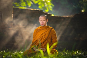 Monk in Buddhism Meditation