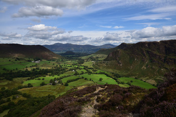 The purple heather of Scope End