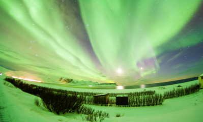Fototapeta na wymiar Aurora Borealis or better known as The Northern Lights for background view in Iceland, Reykjavik during winter