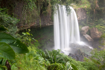 cascada plan de guinea puebla