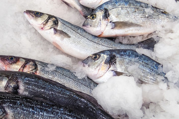 Raw fish on the ice market