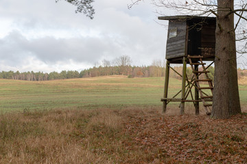 Wooden construction set at the edge of the forest. A new hunting pulpit for wild game hunters.