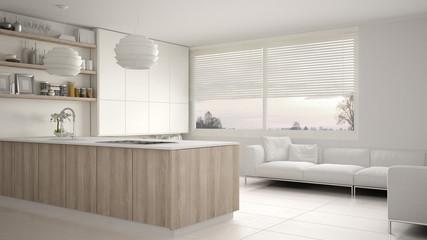 Modern white and wooden kitchen with shelves and cabinets, sofa and panoramic window. Contemporary living room, minimalist architecture interior design