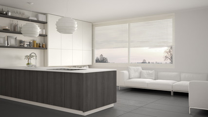 Modern white, gray and wooden kitchen with shelves and cabinets, sofa and panoramic window. Contemporary living room, minimalist architecture interior design