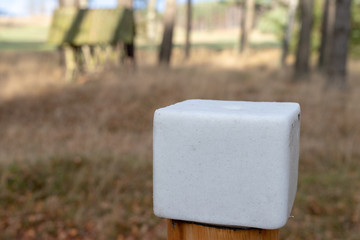 A salt cube prepared for forest animals. Lick in the forest near the pasture.