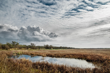 A spontaneous pond after winter