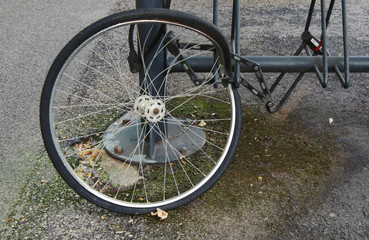 Stolen bicycle, wheel still at stand locked