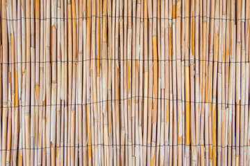 reed stalk wall background texture