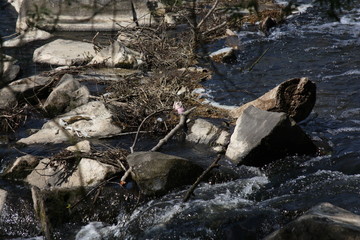 Wasser Lahn Wasserlauf