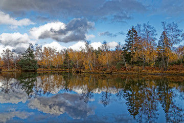 Fototapeta na wymiar étang de Haute-Saône en automne